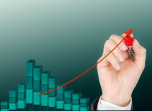 kaiyun体育综合-运动项目职业路径设计与发展研究，运动职业化