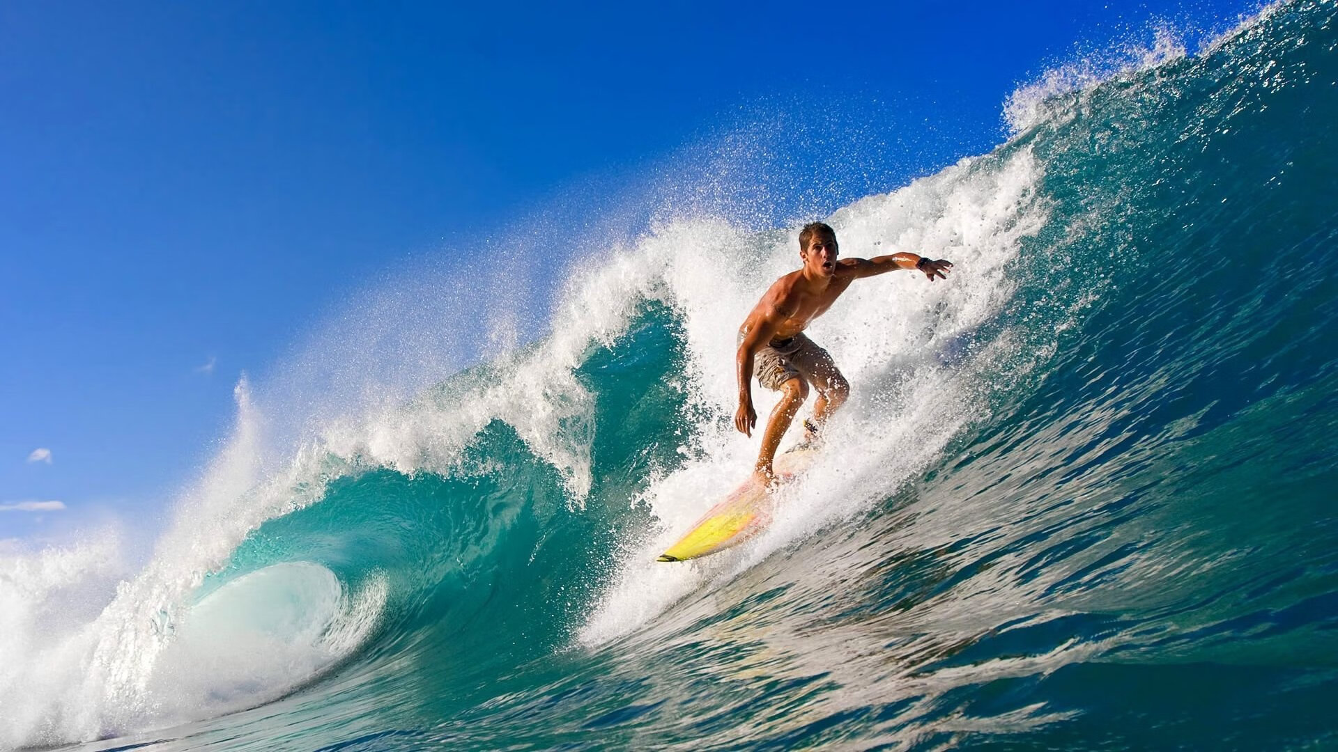 “霍斯特的技术与智慧,南非羚羊队的胜利保障”