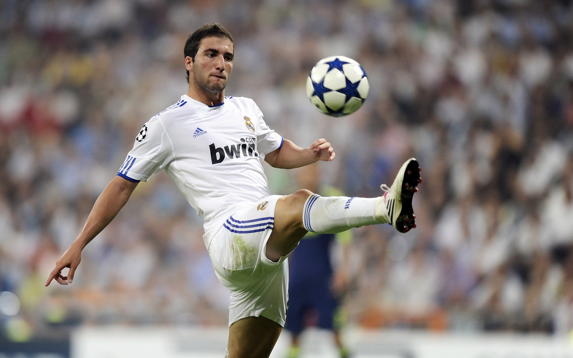 “伊万·戈梅斯的强硬防守与进攻意识，成为美洲狮队的中坚力量”